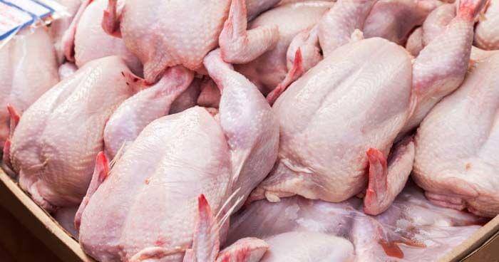 siliconprairienews.com