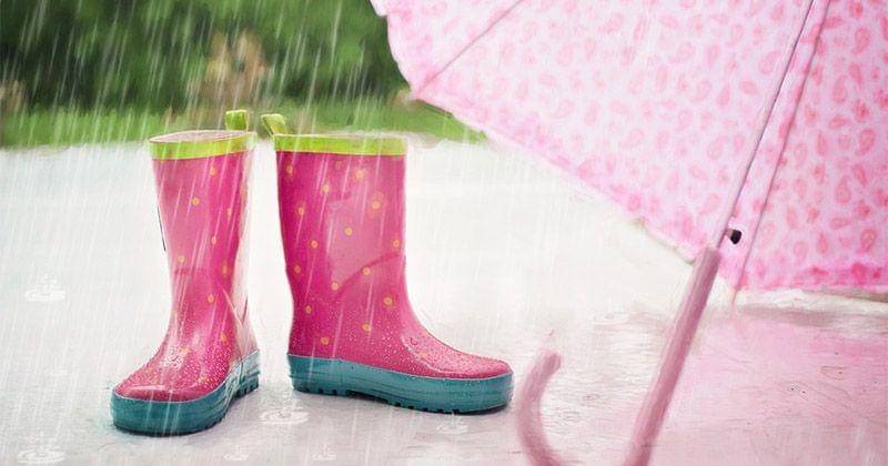 Pixabay/JillWellington