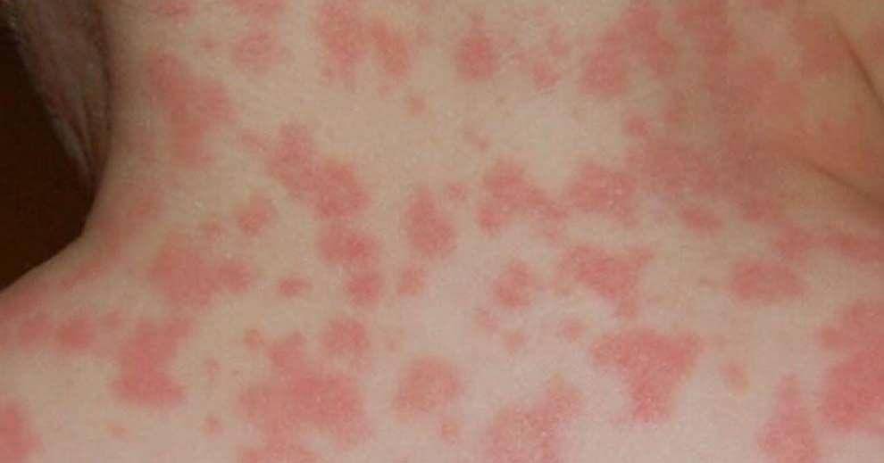 jornaldafronteira.com.br