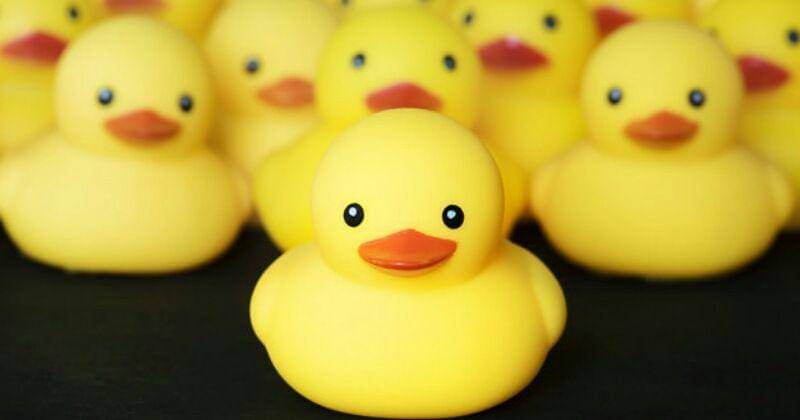 Freepik/Rawpixel.com