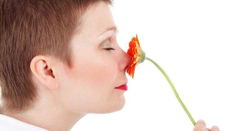 Pixabay/PublicDomainPictures