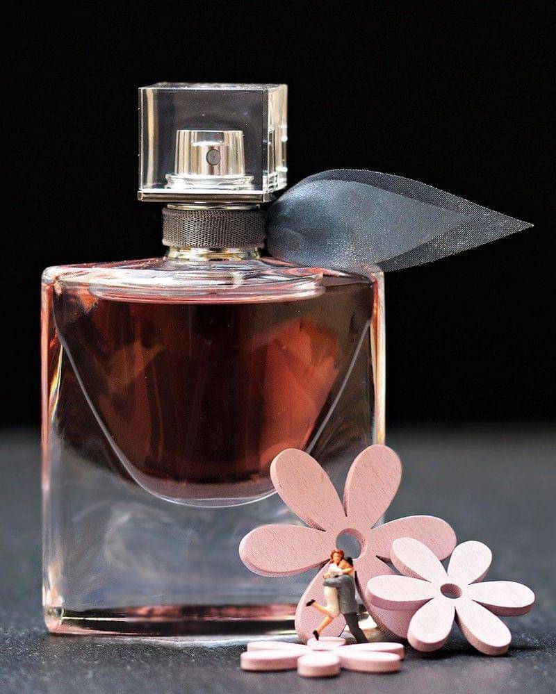 Pixabay/S. Hermann & F. Richter