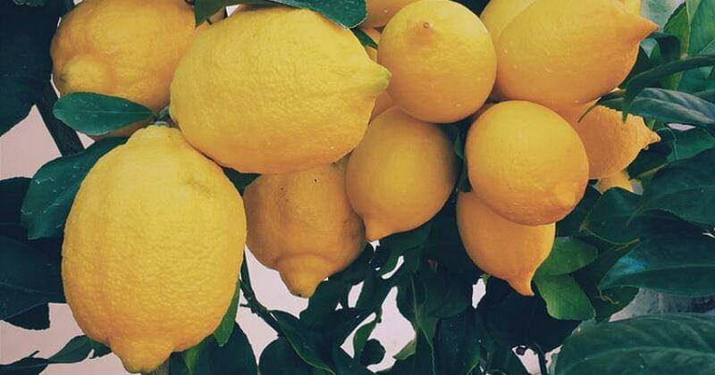 Unsplash/Ernest Porzi