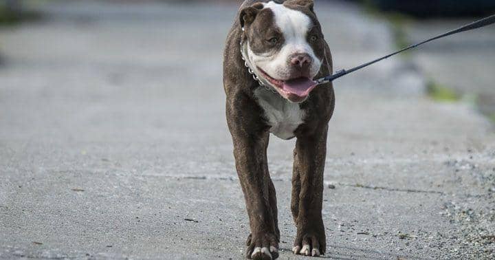 Pxhere/ CC0 Public Domain