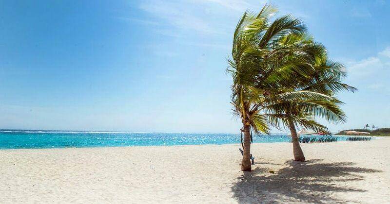 Pexels/Maria Isabella Bernotti