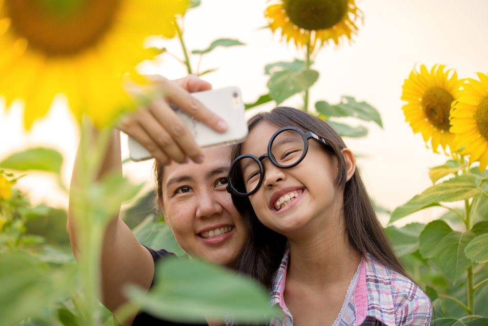 Shutterstock/Ronnachai Palas