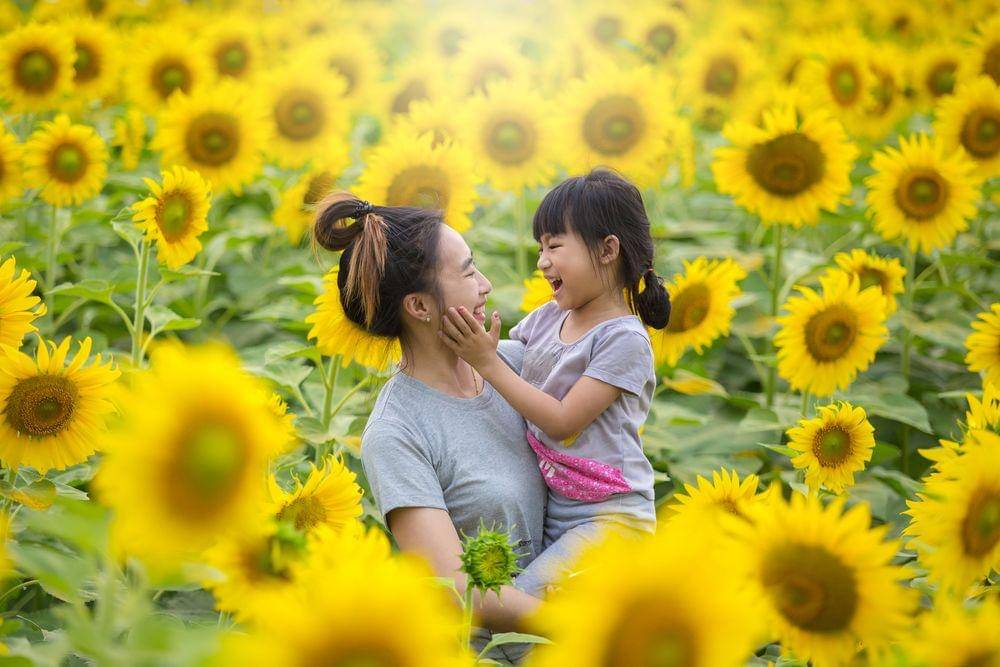 Shutterstock/Tong_stocker