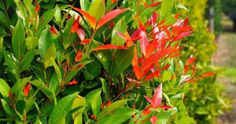 saigonthietbiyte.com