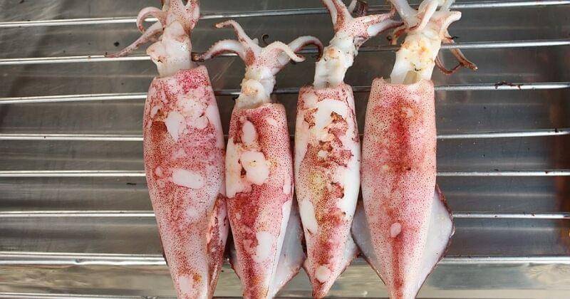 Pixabay/Digital_D_Day_Stock 