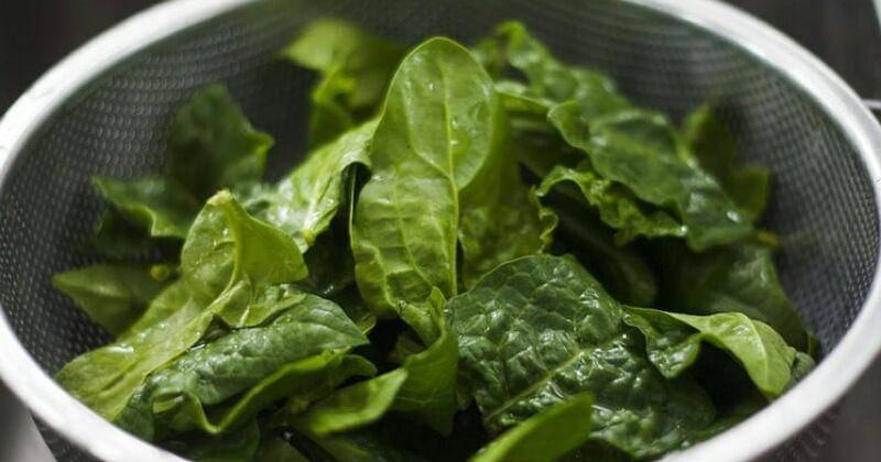 Unsplash/chiara conti