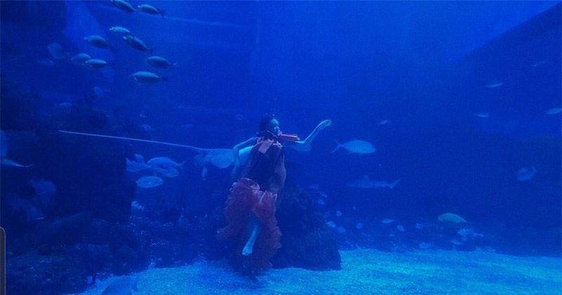 Instagram.com/aku_naura