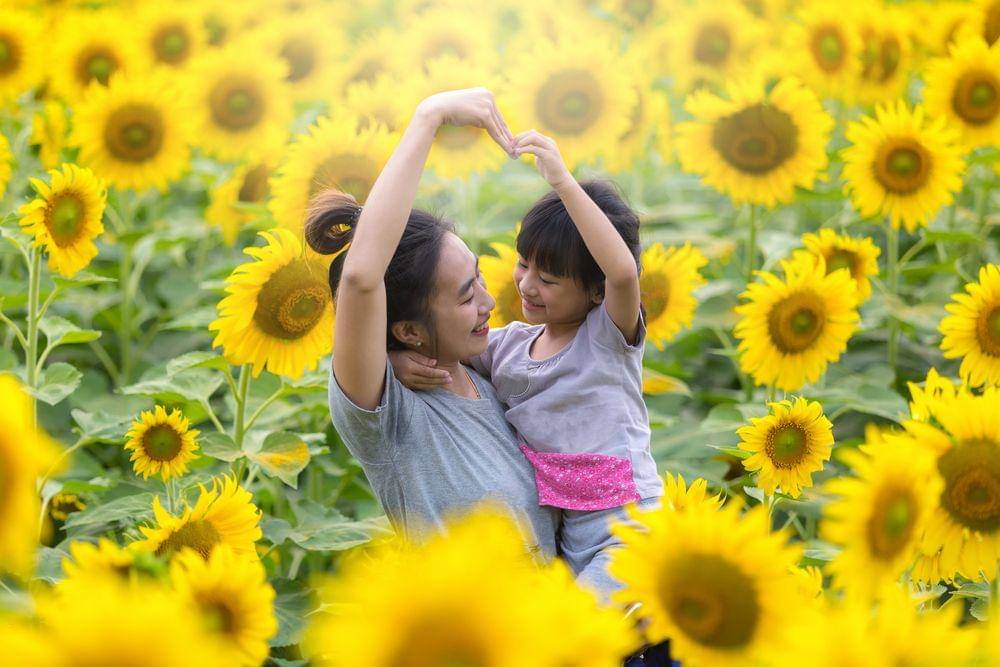 Shutterstock/Tong_stocker