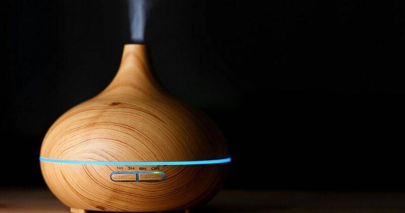 Pixabay/asundermeier 