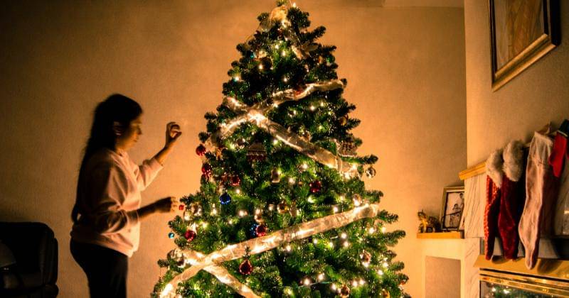 Unsplash/David Beale