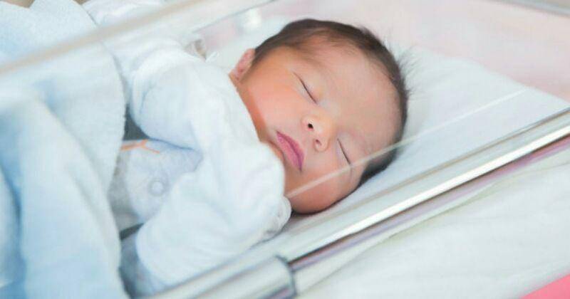 Freepik/KamranAydinov 