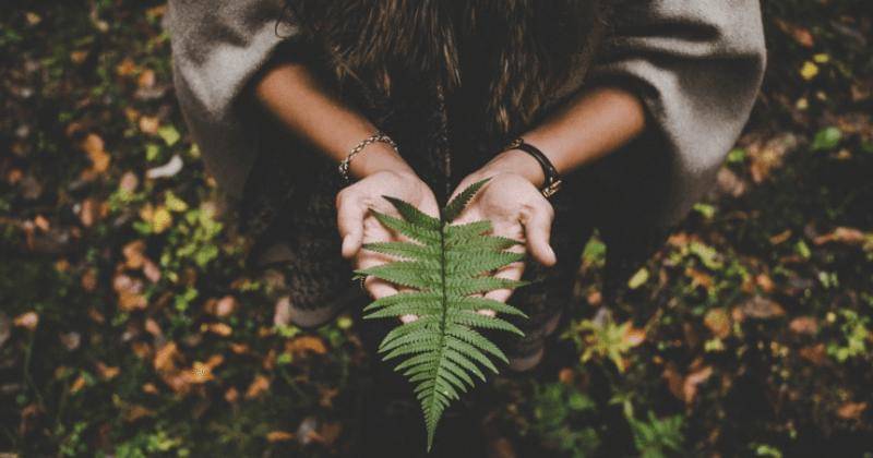 Pexels/Lucas Allmann