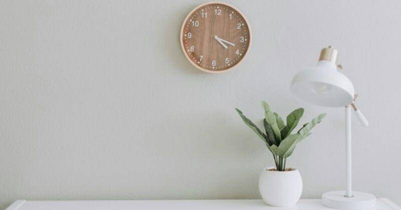 Unsplash/Samantha Gades