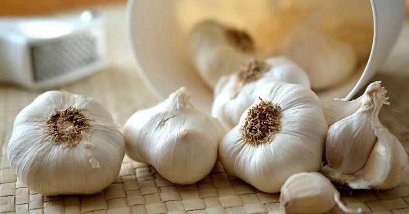 Pixabay/congerdesign