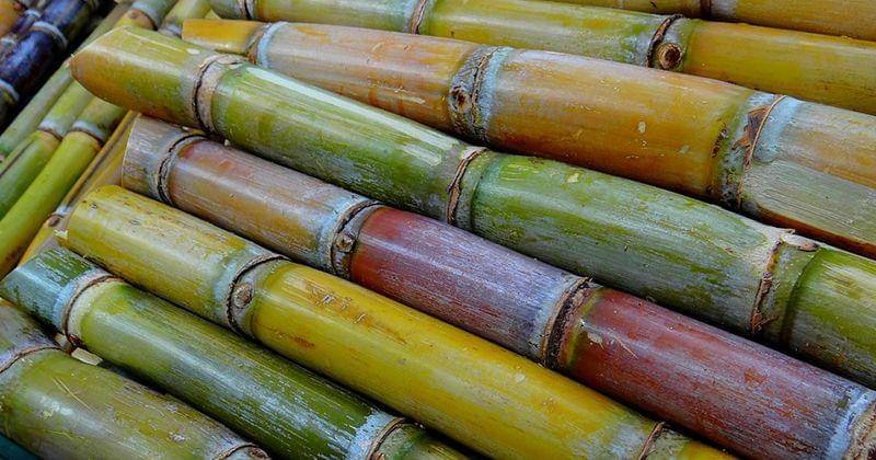 Pixabay/schreib-engel