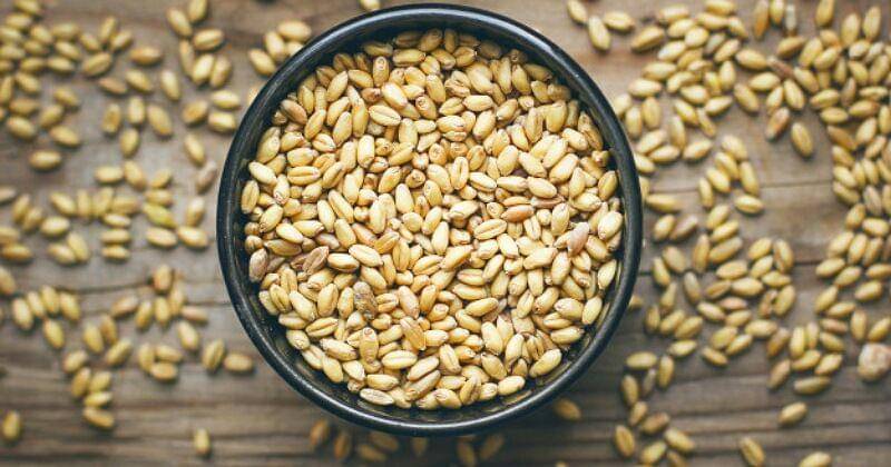 Freepik/azerbaijan_stockers