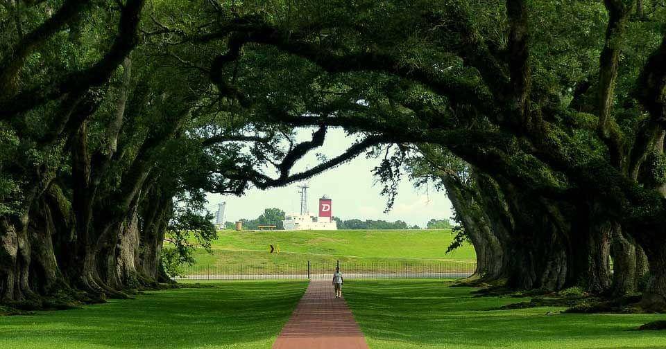 Pixabay/Rauschenberger-4614580