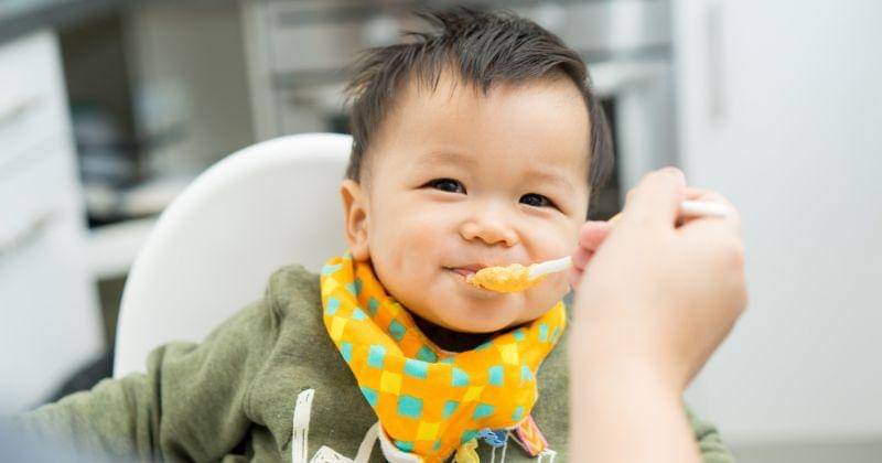 Shutterstock/alice-photo