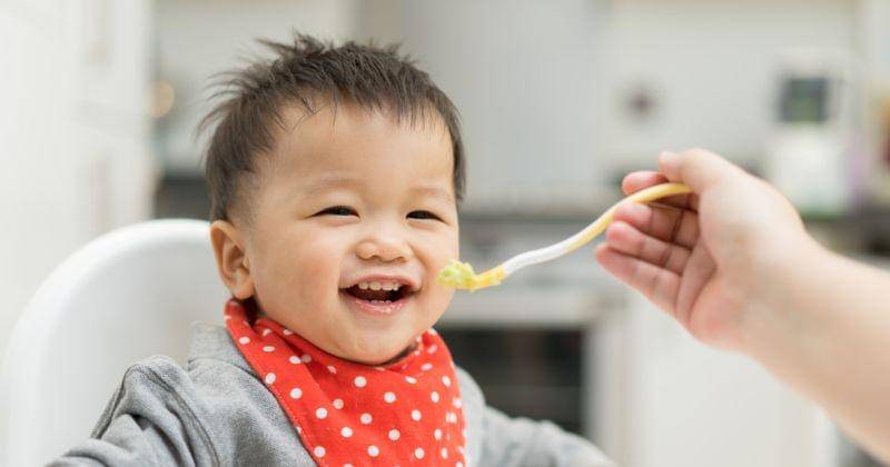 Shutterstock/alice-photo