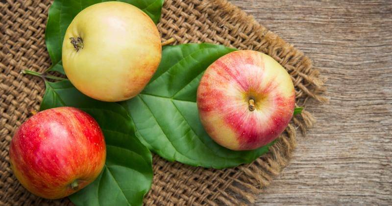 Pexels/Phiwat Chungcao