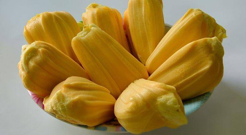 pixabay.com/kieutruongphoto