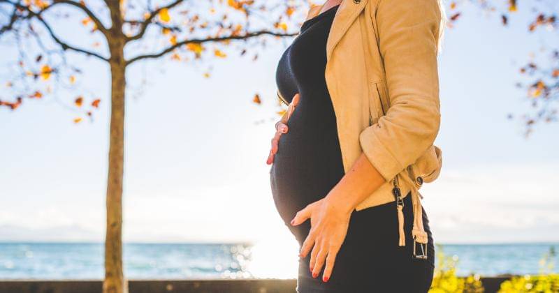 Pexels/Negative Space