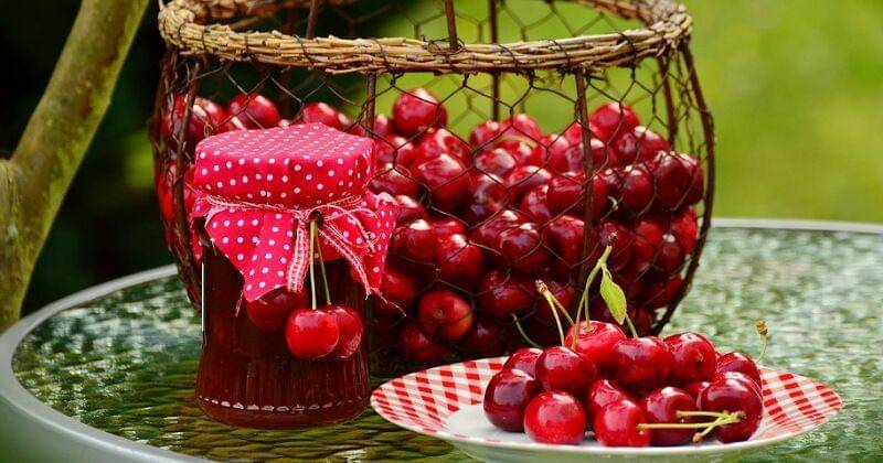 Pixabay/congerdesign