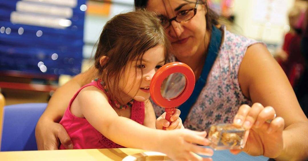 bostonchildrensmuseum.org