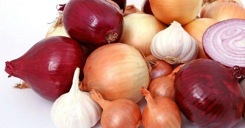 Pixabay/Shutterbug75