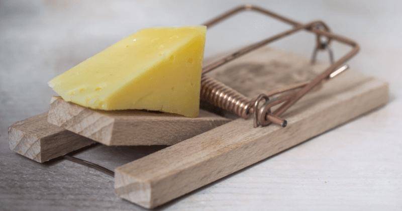 Pexels/Skitter Photo