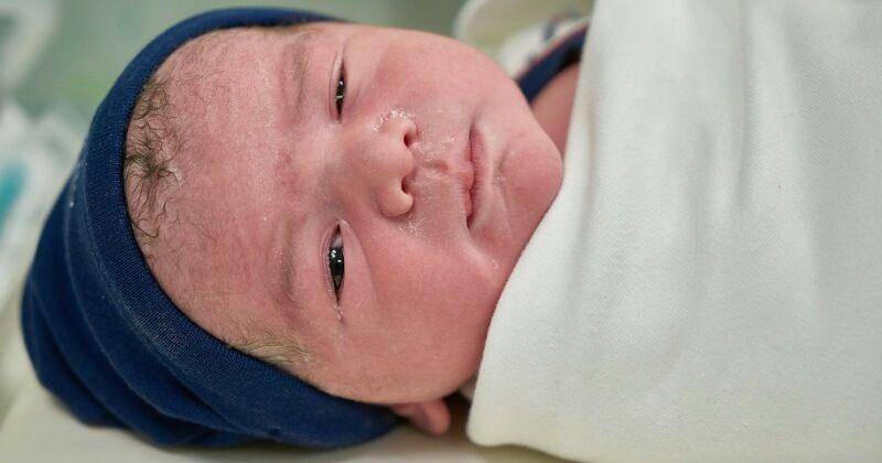 Pixabay/Engin_Akyurt 