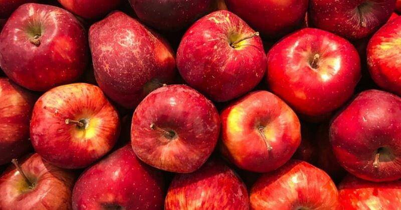 Unsplash/Matheus Cenali