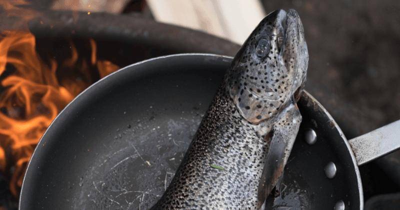 Unsplash/John Salzarulo