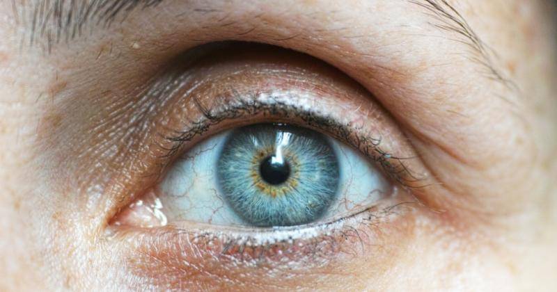 Pexels/Engine Akyurt