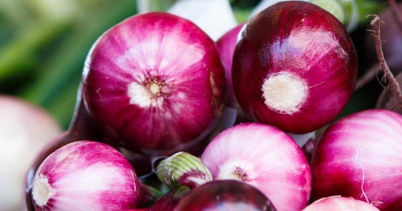 Unsplash/Thomas Martinsen