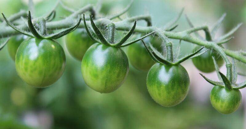 Pixabay/HBH-MEDIA-photography