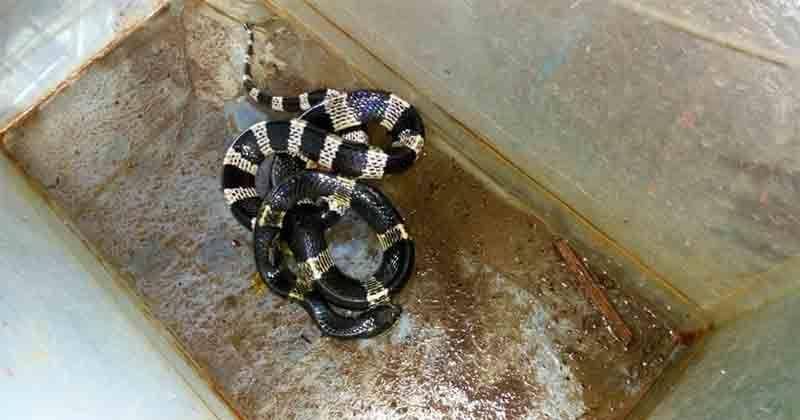 Instagram.com/bandungtalk