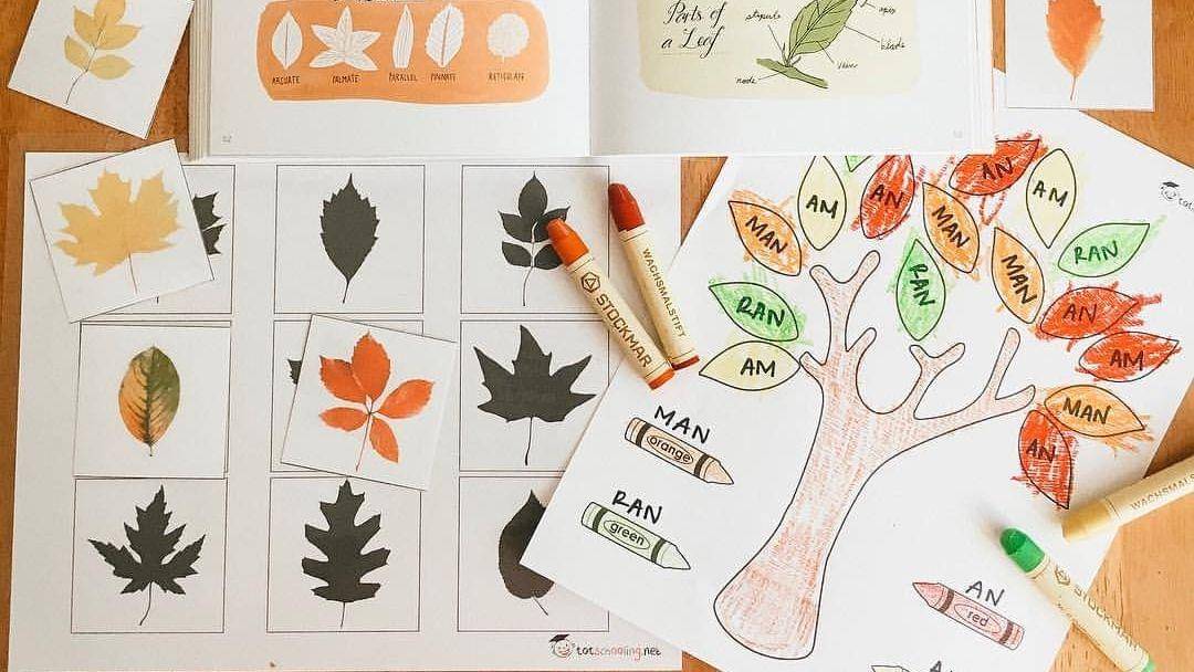 Instagram.com/herheartshomeschool