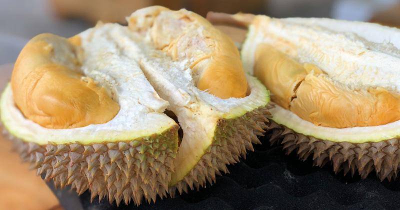 Hindari Konsumsi Durian Berbarengan dengan Makanan dan Minuman Ini!