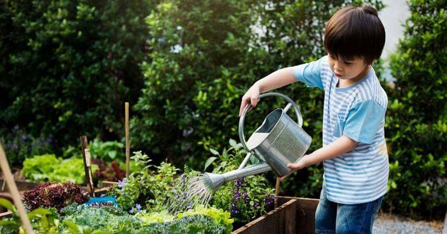 bigblogofgardening.com