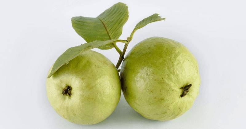 Unsplash/Amirul Islam