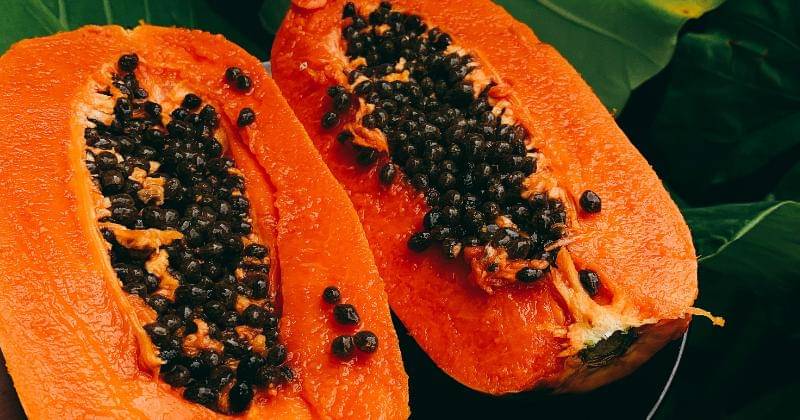 Unsplash/Ilyuza Mingazova