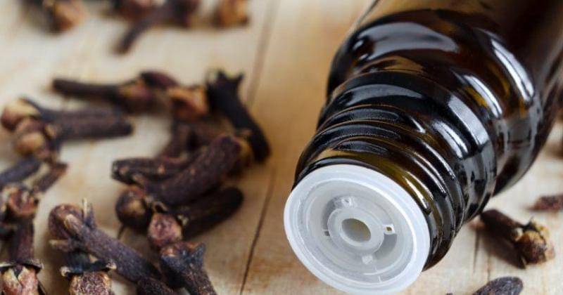 Pinterest.com/Amy Kinard