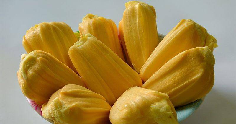 Pixabay/kieutruongphoto