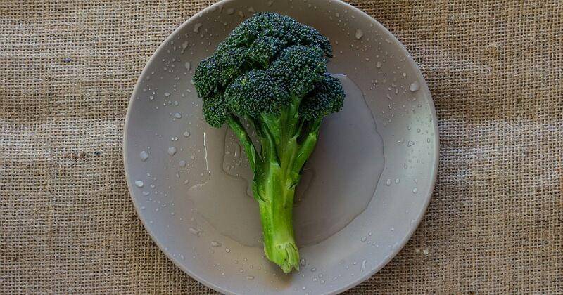 Pixabay/Wounds_and_Cracks