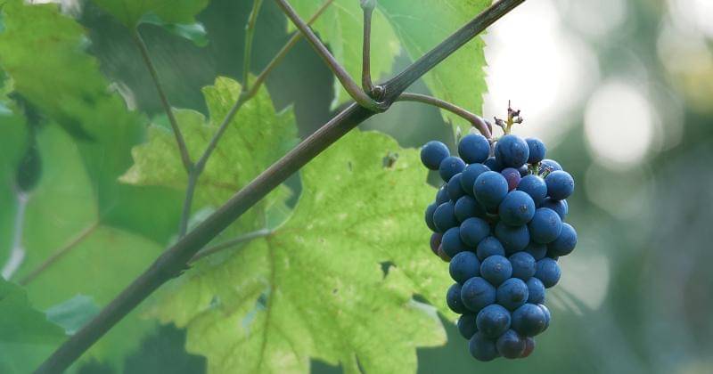 Unsplash/Amor Bar-Zeev